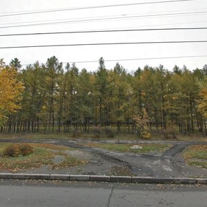 Yurina Street, 216, Barnaul: photo