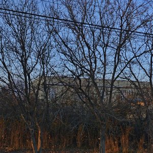 Shirokaya ulitsa, 109, Pyatigorsk: photo