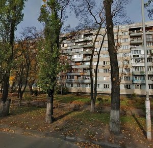 Entuziastiv Street, 3, Kyiv: photo