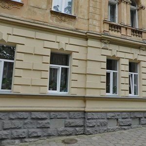 Vulytsia Solomii Krushelnytskoi, No:11, Lviv: Fotoğraflar