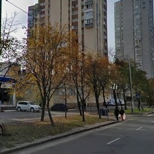 Pavla Tychyny Avenue, 4, Kyiv: photo