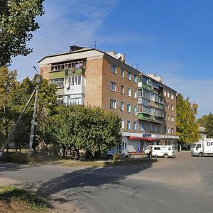 Zavokzalna vulytsia, 17, Boryspil: photo