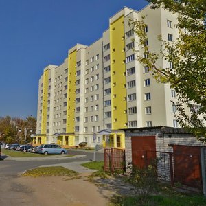Starobinskaja Street, 20, Minsk: photo