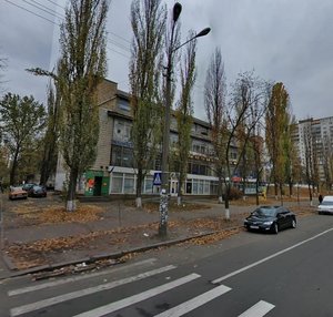 Sholom-Aleikhema Street, 18, Kyiv: photo