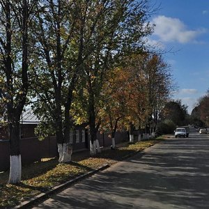 Vasilyevskaya Street, No:32, Suzdal: Fotoğraflar