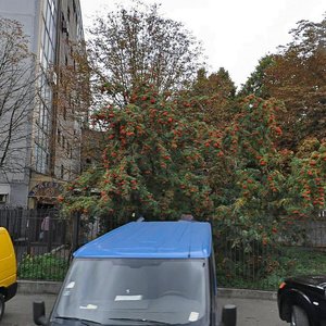 Holosiivskyi Avenue, 6, Kyiv: photo