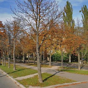 Palva Virskoho Boulevard, 10, Kyiv: photo
