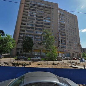 Nepokoryonnykh Avenue, 16к1 ، سان بطرسبرغ: صورة