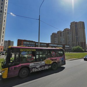 Kosmonavtov Avenue, 96, Saint Petersburg: photo