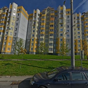Pimiena Panchanki Street, 50, Minsk: photo