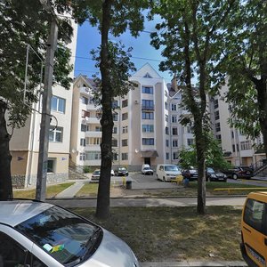 Lypova vulytsia, 10, : foto