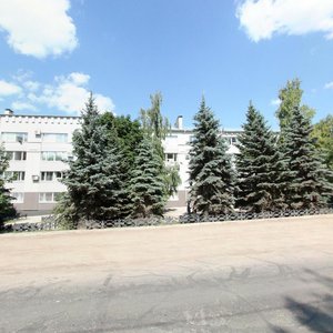 Revolutsionnaya Street, 44, Samara: photo