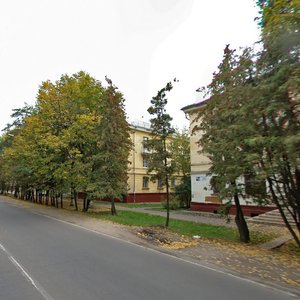 Lenina Avenue, 24 ، : صورة