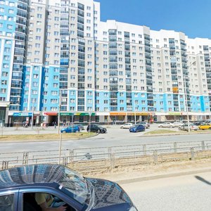 Vilgelma de Gennina Street, 42 ، يكاترينبورغ: صورة