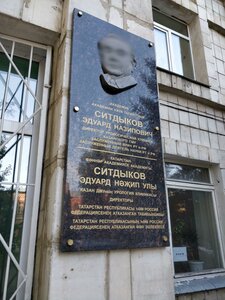 Butlerova Street, 47А ، قازان: صورة