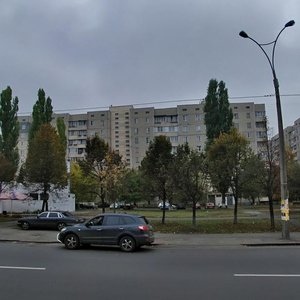 Arkhitektora Verbytskoho Street, 36А, Kyiv: photo