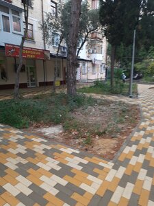 Kievskaya Street, 18 ، : صورة