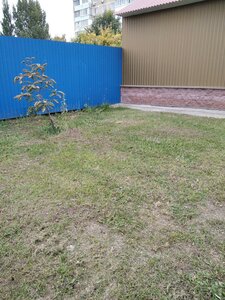 Ульяновск, Улица Гусева, 2: фото