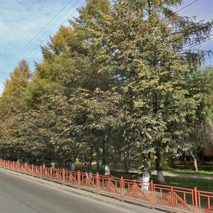 Ulitsa Lermontova, 317, Irkutsk: photo