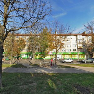 Palva Virskoho Boulevard, 6, Kyiv: photo