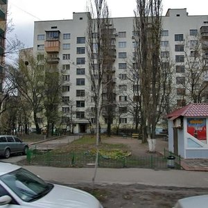 Cheska Street, 4, Kyiv: photo