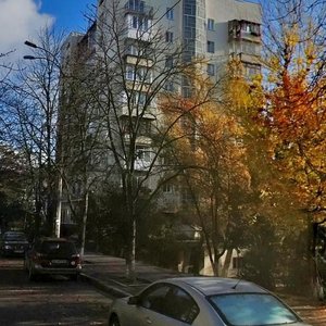 Vynohradnyi Lane, 6, Kyiv: photo