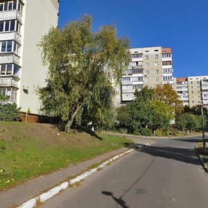 Kvitnevyi Lane, 5, Kyiv: photo