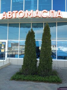 Zolotaya Rybka Street, 1, Novorossiysk: photo