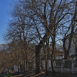 Кисловодск, Улица Карла Либкнехта, 17: фото