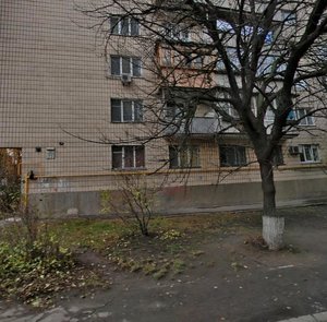 Vilhelma Kotarbinskoho Street, 22, Kyiv: photo