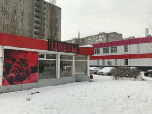 Ulitsa Akademika Korolyova, 11к1 ، أوفا: صورة