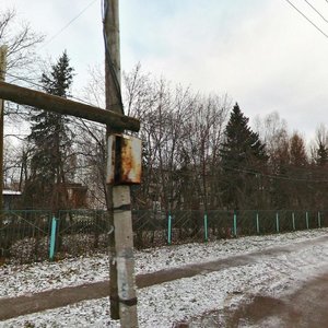 Нижегородская область, Центральная улица, 27: фото