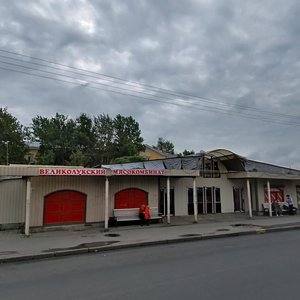 Partizana Germana Street, 38А, Saint Petersburg: photo