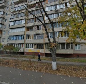 Trostianetska Street, 53, Kyiv: photo