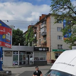 Kyivs'ka Street, 50 ، : صورة