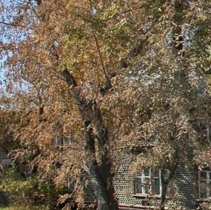 Ulitsa Rabochego Shtaba, 75/1 ، إيركوتسك: صورة