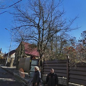 Pchelovodov Street, 6, Sochi: photo