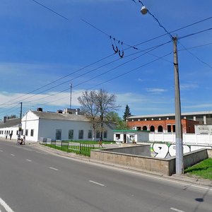 Horodotska vulytsia, 222, Lviv: photo