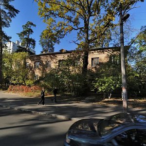 Verkhovynna Street, 28, Kyiv: photo