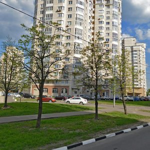 Москва, Улица Академика Виноградова, 1к1: фото