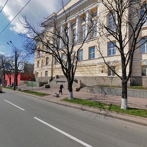 Volodymyrska Street, 62, : foto