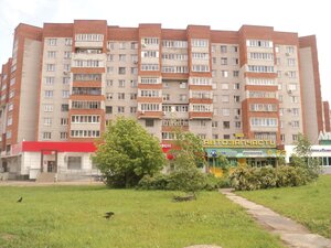 Leninskogo Komsomola Street, 50 ، : صورة