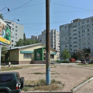 Vladimira Nevskogo Street, 24, Voronezh: photo