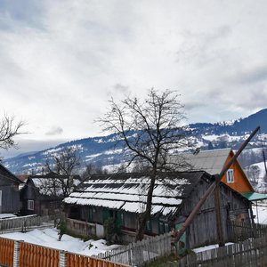 Vulytsia Vyzvolennia, 4, Zakarpattia District: photo