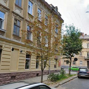 Lychakivska vulytsia, 24А, Lviv: photo