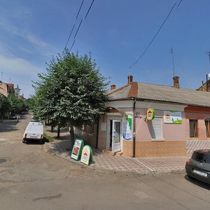 Vulytsia Lukiana Kobylytsi, 61/23, Chernivtsi: photo