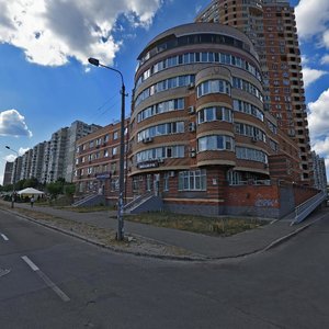 Sribnokilska Street, 12А, Kyiv: photo