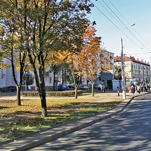 Partyzanski Avenue, 56, Minsk: photo