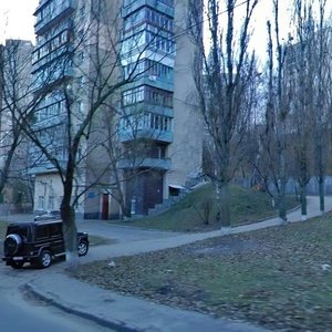 Petra Radchenka Street, 8, Kyiv: photo