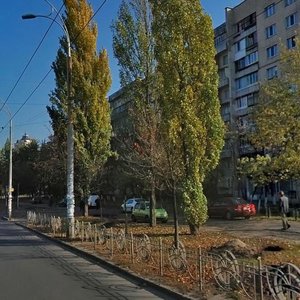 Marshala Tymoshenka Street, 2, Kyiv: photo